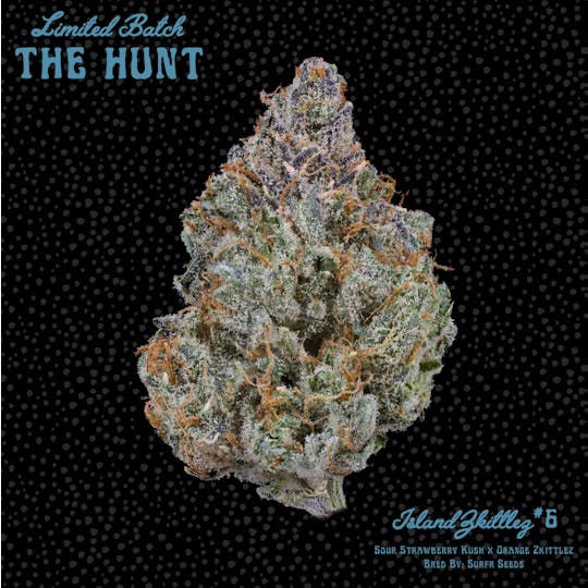 Freddy's Fuego - Island Zkittlez #6 - The Hunt - 1