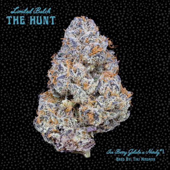 Freddy's Fuego - Nerdz x Ice Berry Gelato #1 - The Hunt - 1