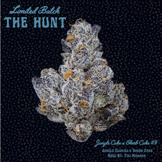 Freddy's Fuego - Jungle Cookies x Sherb Cake #9 - The Hunt - 1