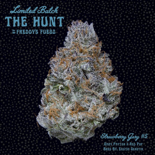 Freddy's Fuego - Strawberry Gary #5 - The Hunt - 1