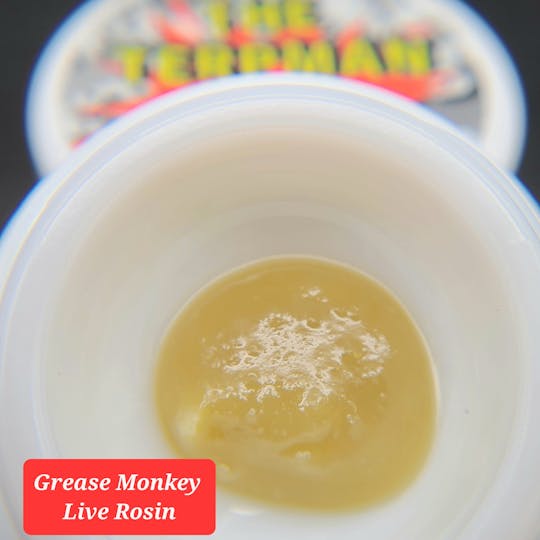 Terpman & Rosin - Grease Monkey Live Rosin - 1