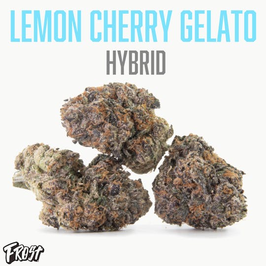 Frost - Lemon Cherry Gelato 3.5g - 1