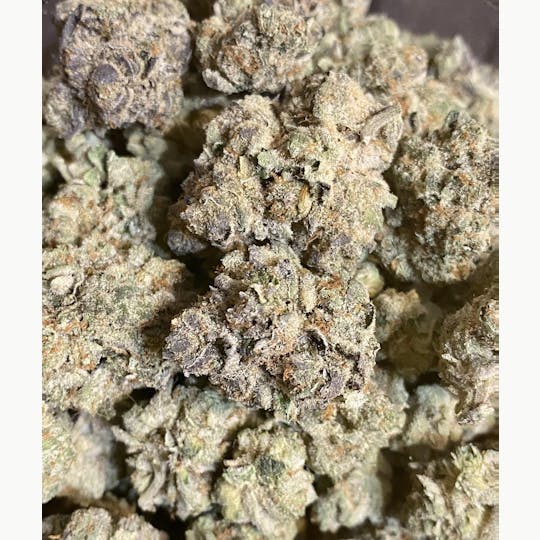 Herbal Remedies of Maine - Grandpa's Breath - 1