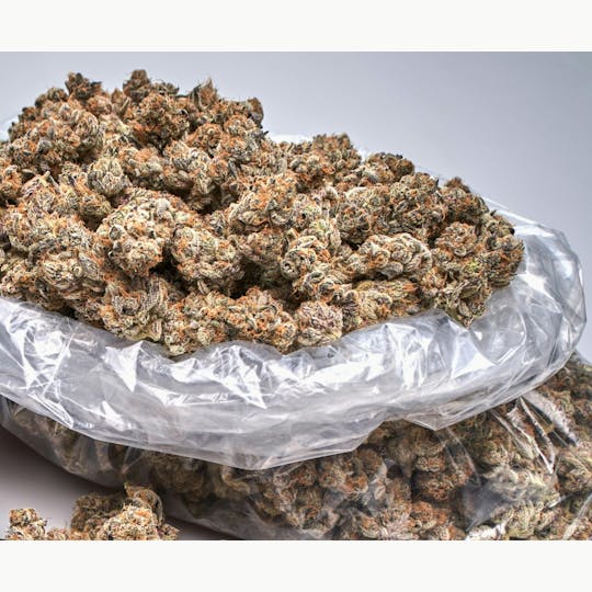 Ripple Wellness - Rotating "B" Buds - 1