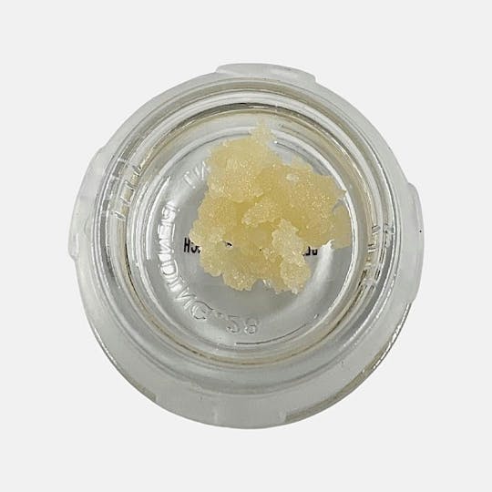 Indico - Black Cherry Punch - 1