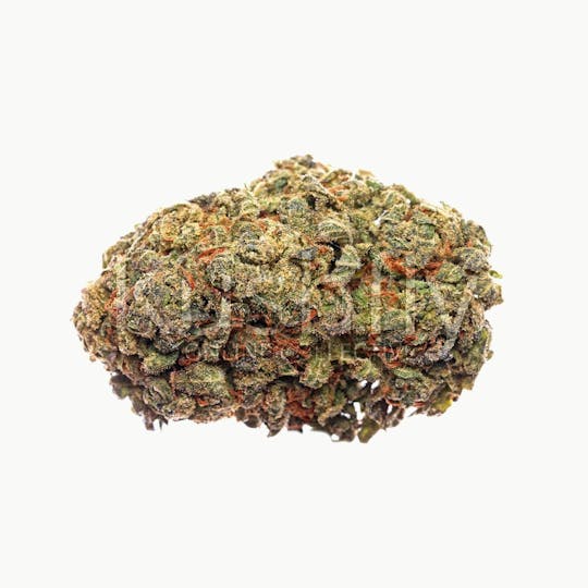 Enlighten - Jungle Cake - 1