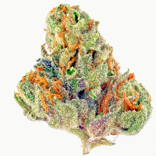 Animal - Bubble Gum - Hybrid - 30% THC - 1