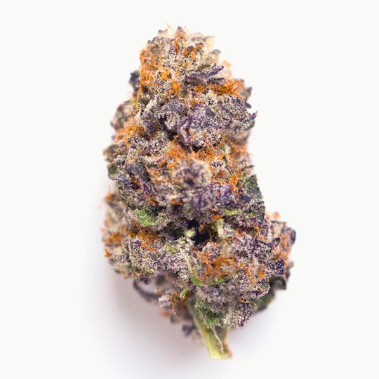 Animal - Wonka Chocolate - Hybrid - 29% THC - 1