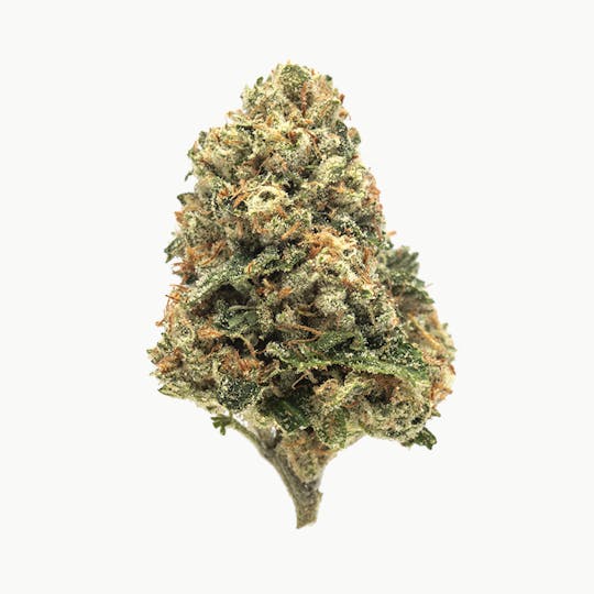 Animal - Rose-Hybrid-25%THC - 1