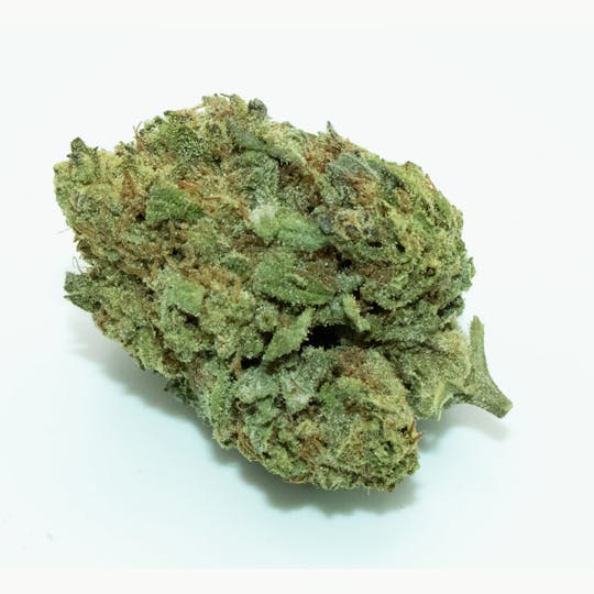 Trusty Transportations - Dutch Cake Ounce/28 Grams (25%THC, Indica) - 1