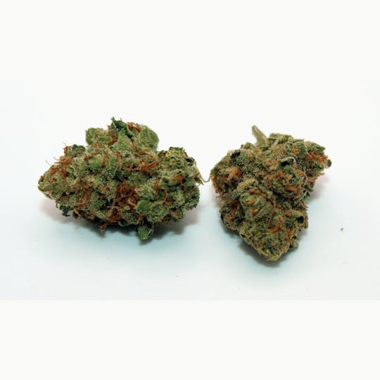 Trusty Transportations - Mochi 8th/3.5 Grams (20% THC, Sativa) - 1