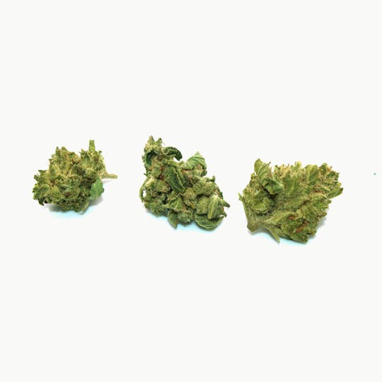 Trusty Transportations - Cake Crasher Smalls Ounce/28 Grams (20% THC, Sativa) - 1