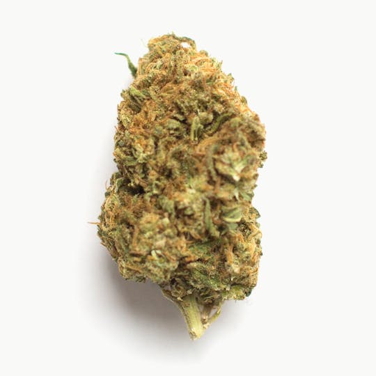 Animal - Black Domina - Indica - 28.96% THC - 1