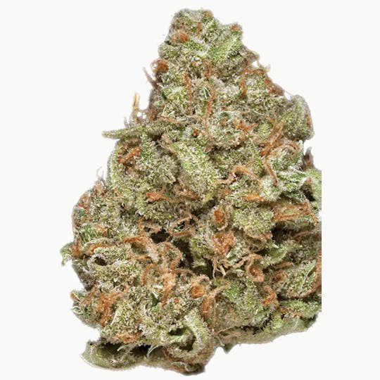 Animal - Cat Piss - Sativa - 28.92% THC - 1