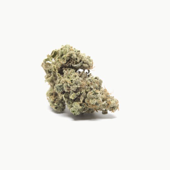 Animal - Passion Fruit - Sativa - 28.91% THC - 1