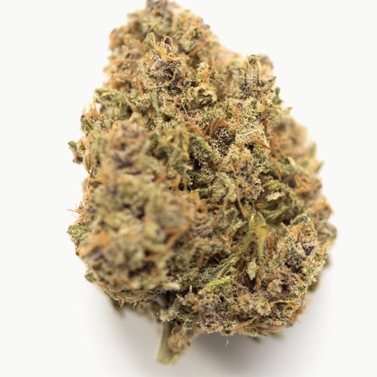 Animal - Critical Mass - Indica - 30.93% THC - 1