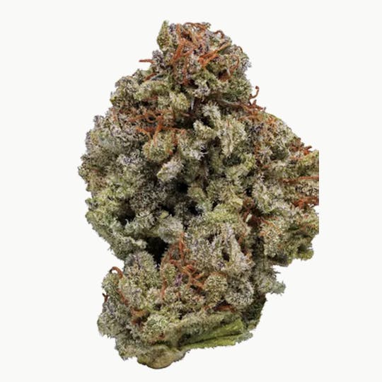 Animal - White Berry - Indica - 30.92% THC - 1