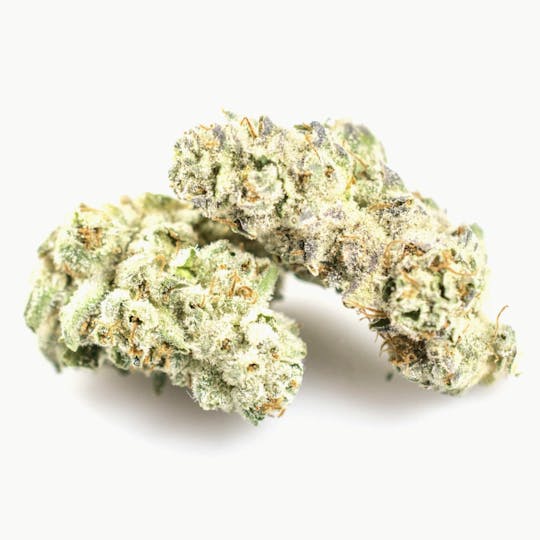 Animal - Cookies and Cream - Hybrid - 30.94% THC - 1