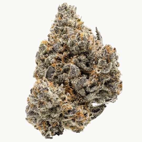 Animal - Biscotti - Hybrid - 30.94% THC - 1