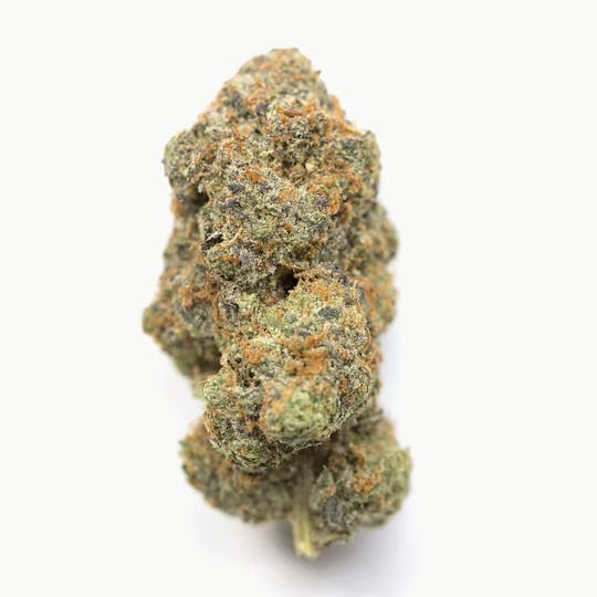 Animal - Lucid Blue - Sativa - 30.93% THC - 1