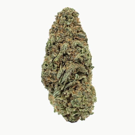 Animal - Sour Haze - Sativa - 30.95% THC - 1