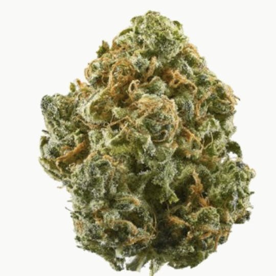 Animal - GSC - Hybrid - 32.97% THC - 1