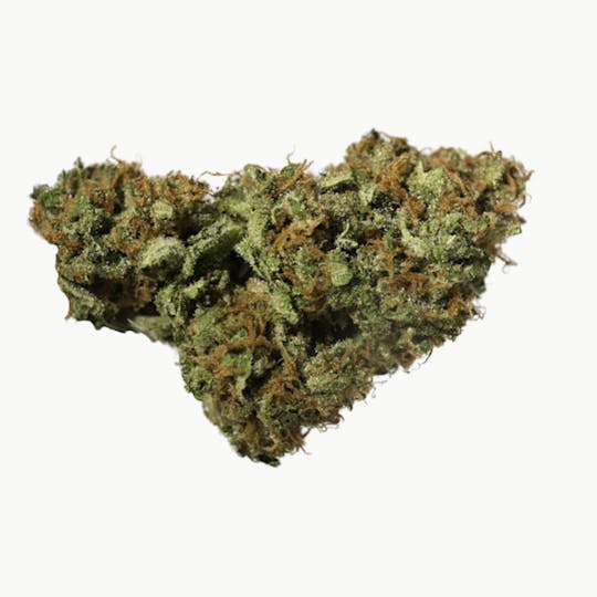 Animal - Alien Orange Cookies - Hybrid - 32.96% THC - 1