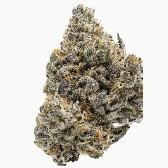 Animal - Runtz - Hybrid - 32.99% THC - 1