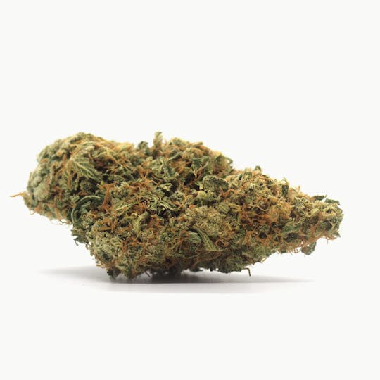 Animal - Clementine - Sativa - 32.95% THC - 1