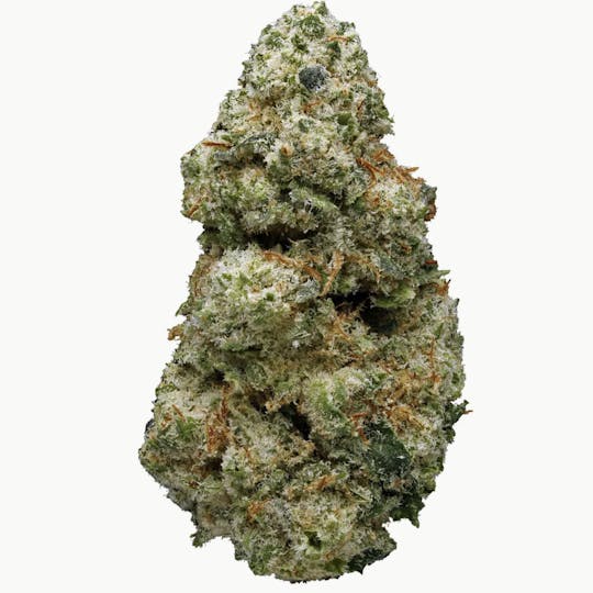 Animal - Alaskan Thunder Fuck - Sativa - 32.96% THC - 1