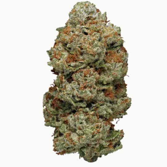 Animal - White Walker Og - Indica - 35.98% THC - 1