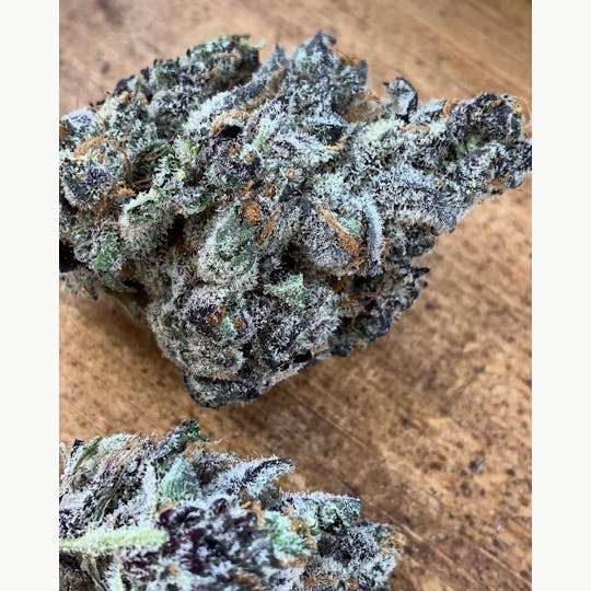 Animal - Black Cherry Gelato-HYBRID 27%THC - 1