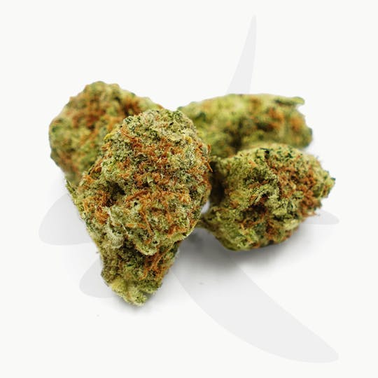 Sozo - Papaya - 1