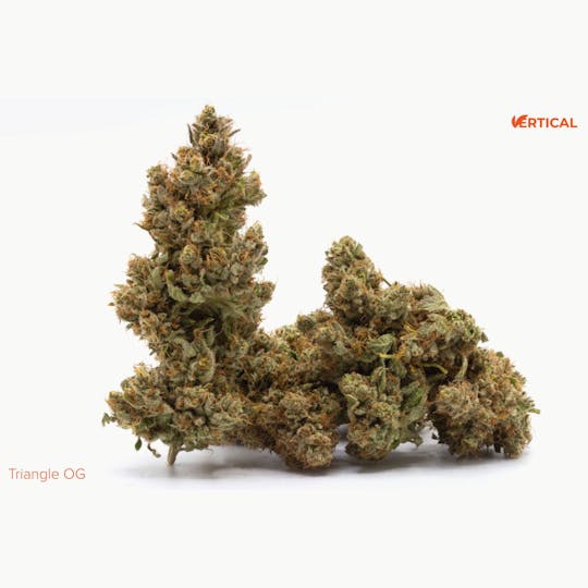 Vertical Cannabis - Triangle OG - 1