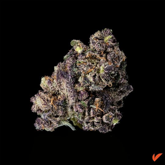 Vertical Cannabis - Façade - 1
