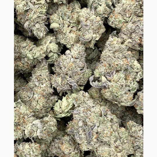Animal - White Cherry Gelato- Hybrid - 31% THC - 1