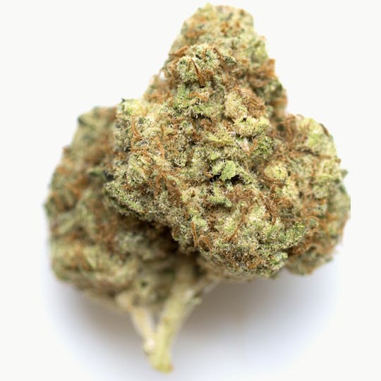 Animal - Watermelon Runtz-Hybrid 29% THC - 1
