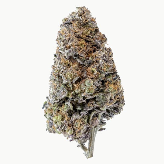 Animal - Purple Power - Sativa - 35.95% THC - 1
