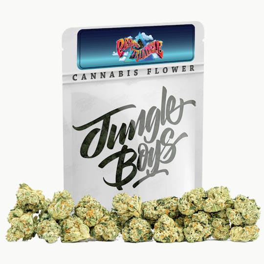 Jungle Boys - Jungle Boys | Perfect Triangle - 10g Smalls - 1
