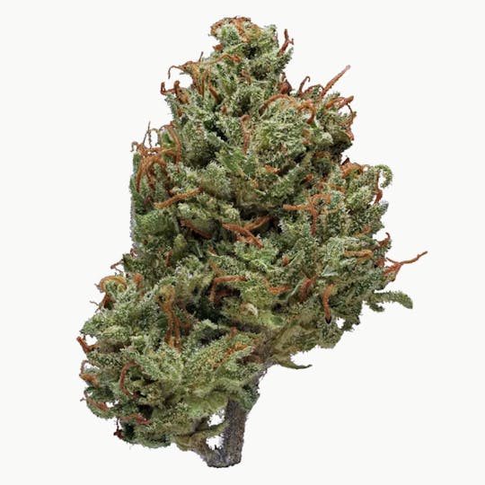 Animal - Double OG - Indica - 35.99% THC - 1