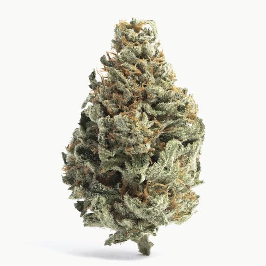 Animal - Tropical Runtz - Hybrid -29.6% THC - 1