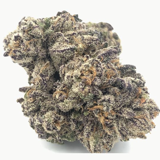 Animal - Chocolate Gelato- Hybrid- 32% THC - 1