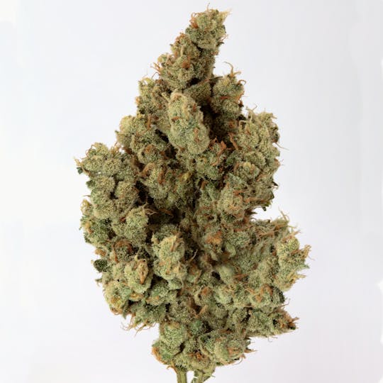 Cannassentials - Spritzer - 1