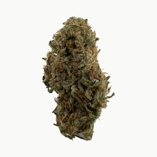 Indico - Acapulco Gold - Indico (ONE 1/8 LEFT!) - 1