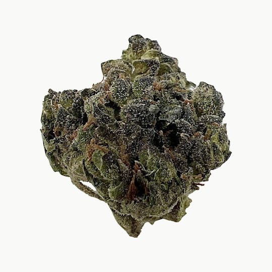 Indico - Blueberry Mac Muffin - 1