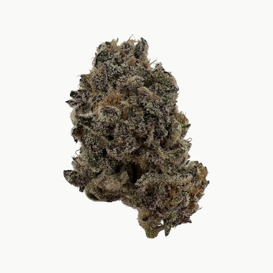Indico - Garlic Breath - King's Tide - 1