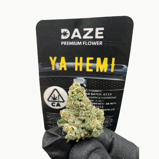 DAZE - Ya Hemi (28g) Indoor - 1