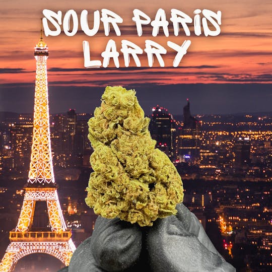 DAZE - Sour Paris Larry (28g) Value - 1