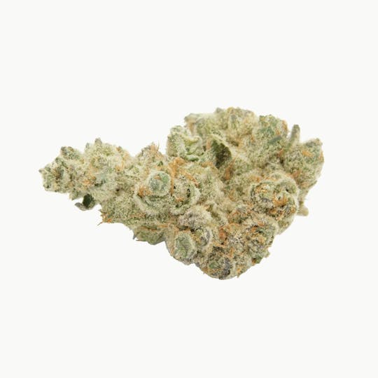 Cannabis Kingdom - Premium Garlic Truffle - 14g - 1