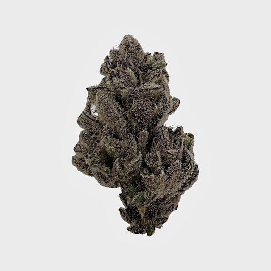 Indico - Tropicana Cookies - King's Tide - 1